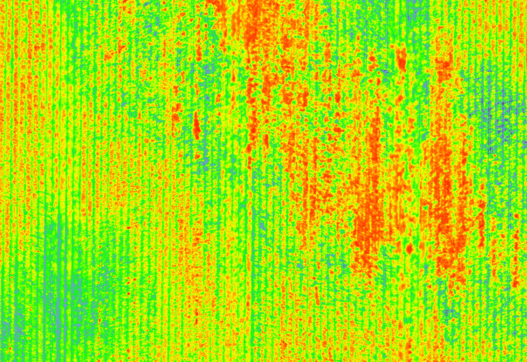 Processed weed detection heat map